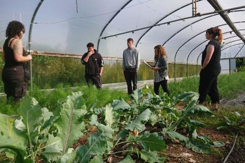 Four individuals standing in a polytunnel at Woodbank Community Food Hub while listening to Aoife, our Lead Grower at the site.