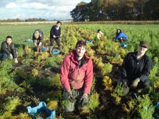 Land Army Volunteers - our new generation of farmers?