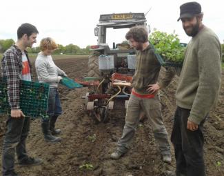 commercial horticulture course