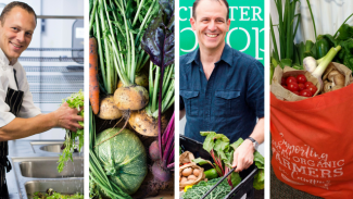 Kindling's family of enterprises