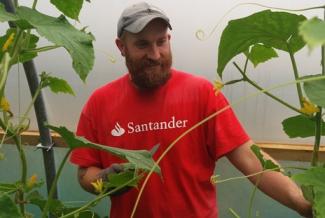 Jack in the polytunnel