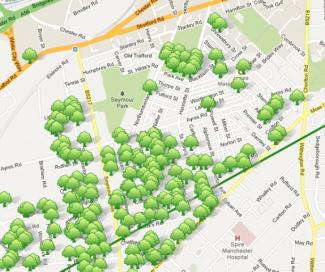 A map of Trafford's Highways Trees.