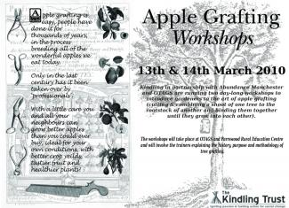 Apple Grafting Workshop Poster.