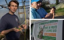 French incubator farms