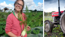 Helen in a field harvesting fennel