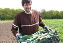 Moss Brooke Growers harvesting their first crop.