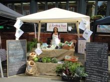 Nina at our market stall