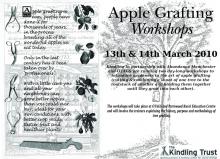 Apple Grafting Workshop Poster.