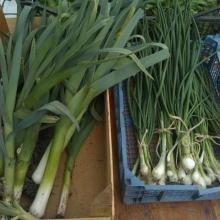 Leeks and Spring Onions