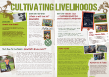 Cultivating Livelihoods newsletter page