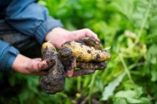 Shake the hand that feeds you!